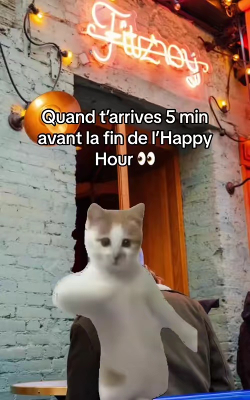 tiktok video