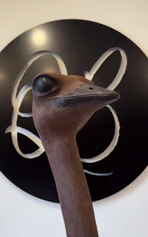 tiktok video