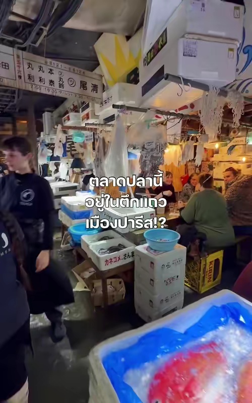 tiktok video