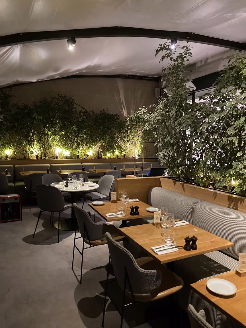 Flora Danica - Image 2